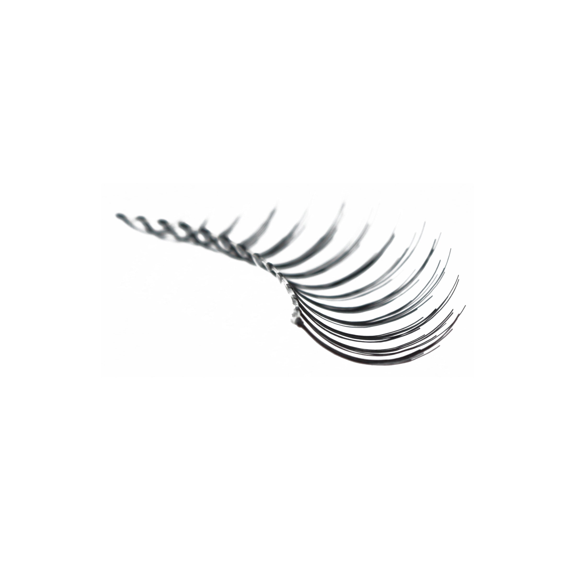 13_-_Amorus_USA_False_Eyelashes_Fake_Lashes_Amor_Us_c.jpg