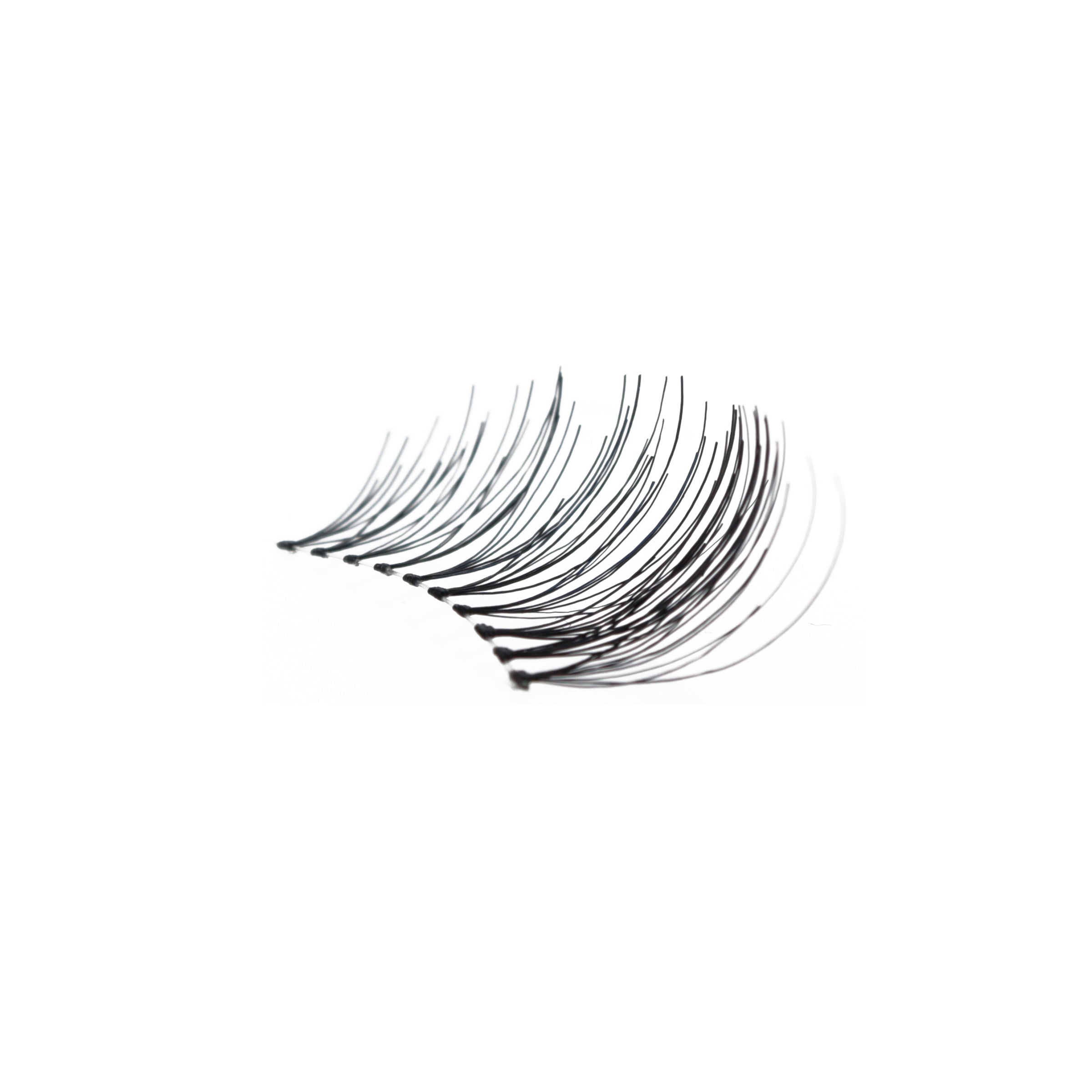 307_-_Amorus_USA_False_Eyelashes_Fake_Lashes_Amor_Us_c.jpg