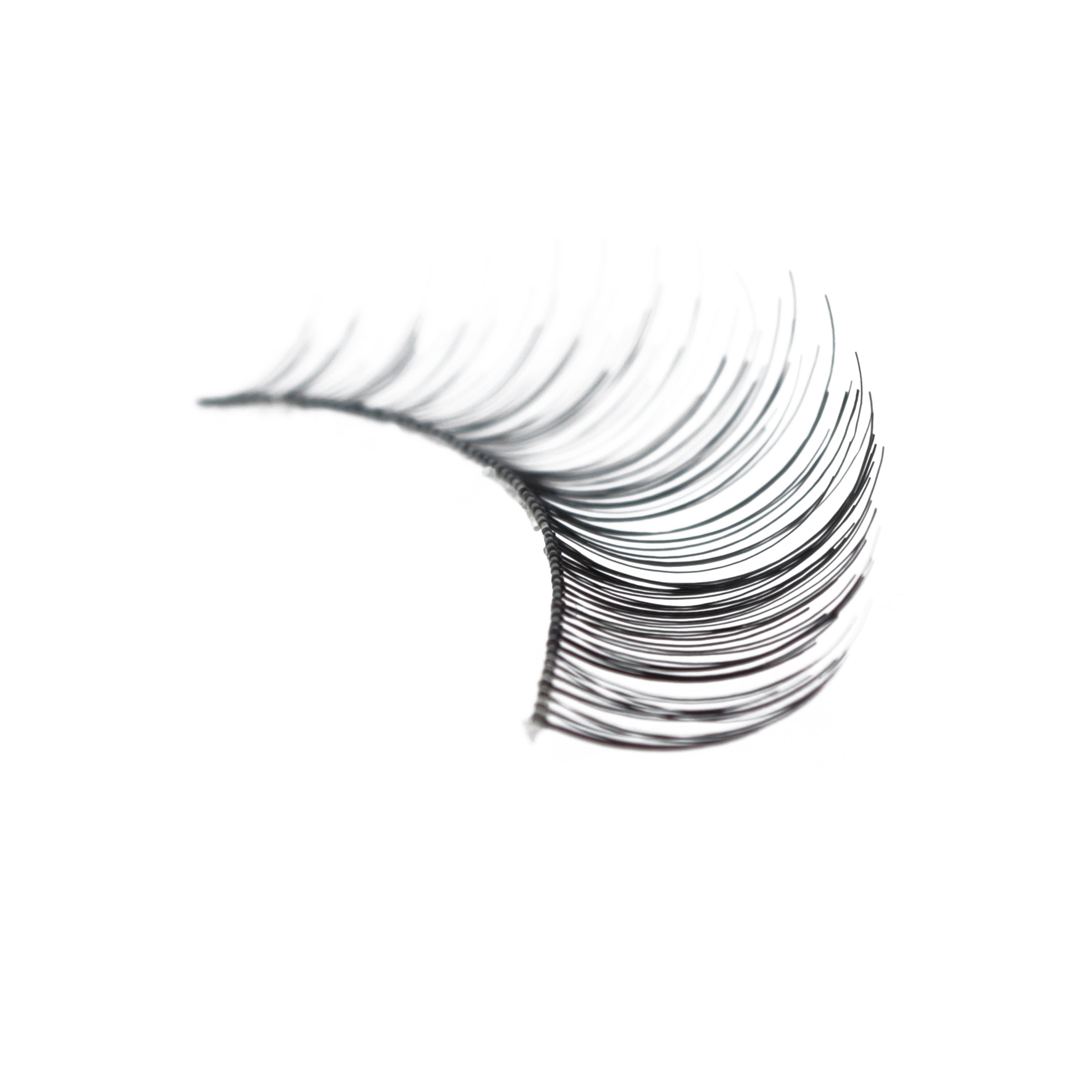 507_-_Amorus_USA_False_Eyelashes_Fake_Lashes_Amor_Us_c.jpg