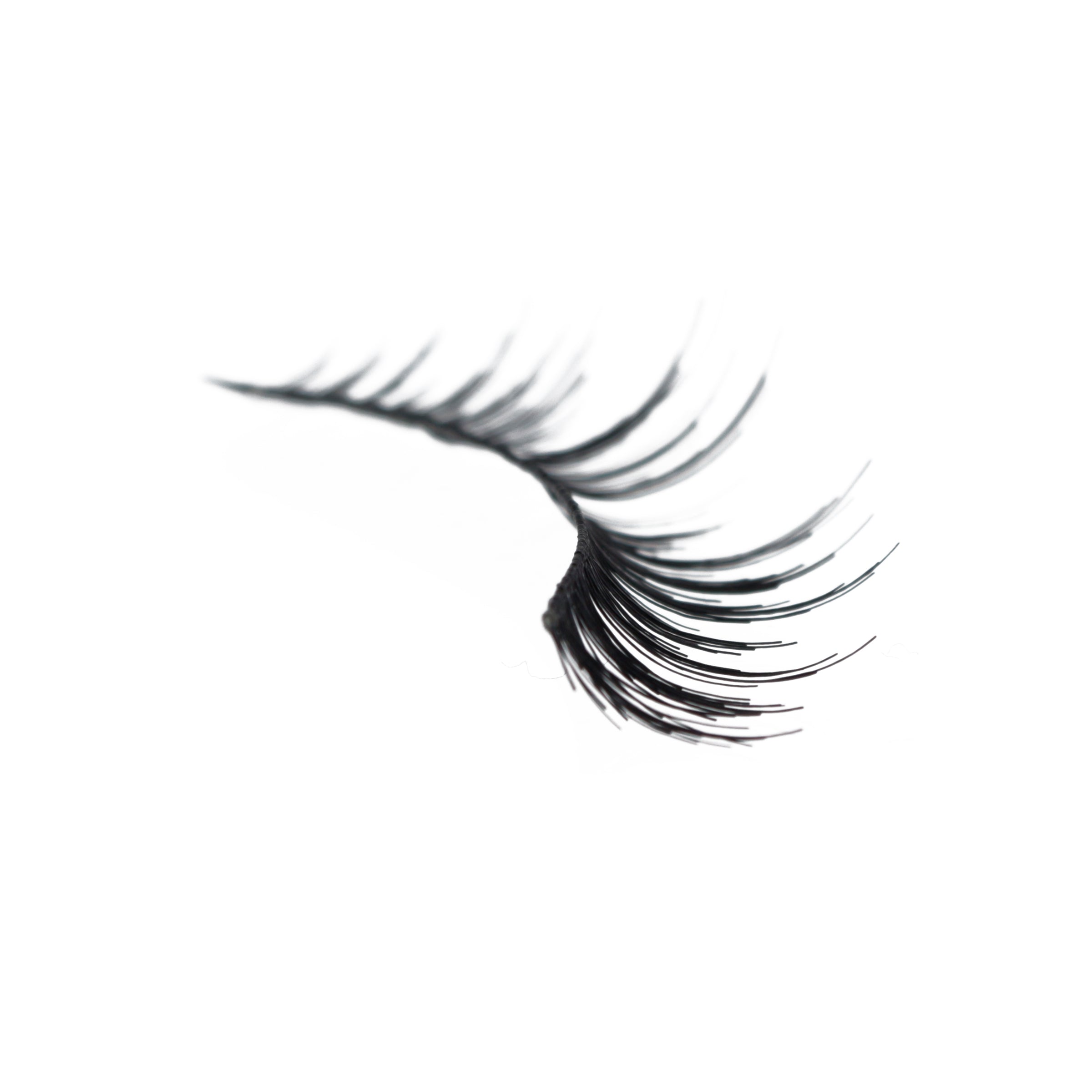 600_-_Amorus_USA_False_Eyelashes_Fake_Lashes_Amor_Us_C.jpg