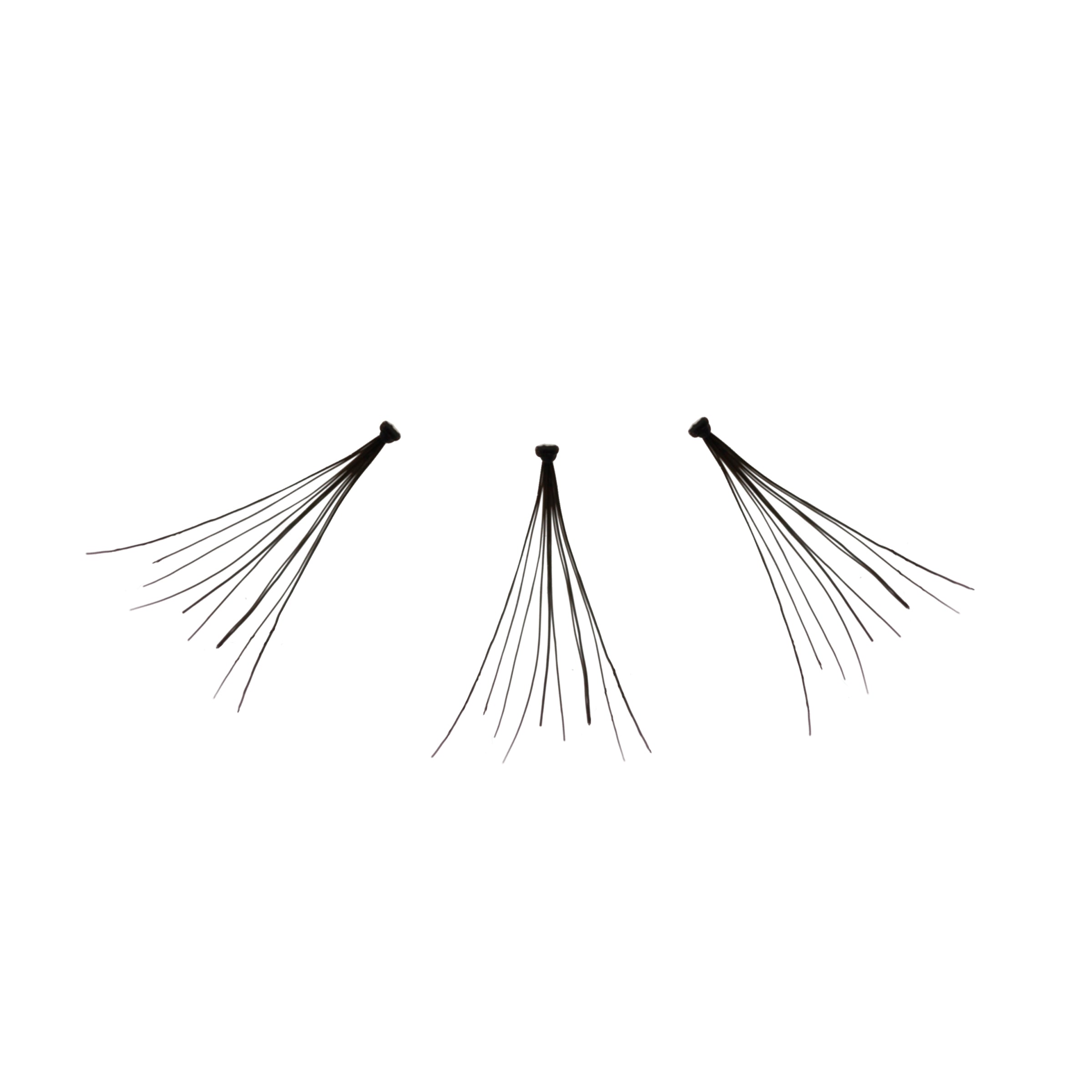 Flare_Long_-_Amorus_USA_False_Eyelashes_Fake_Individual_Lashes_Amor_Us_A.jpg