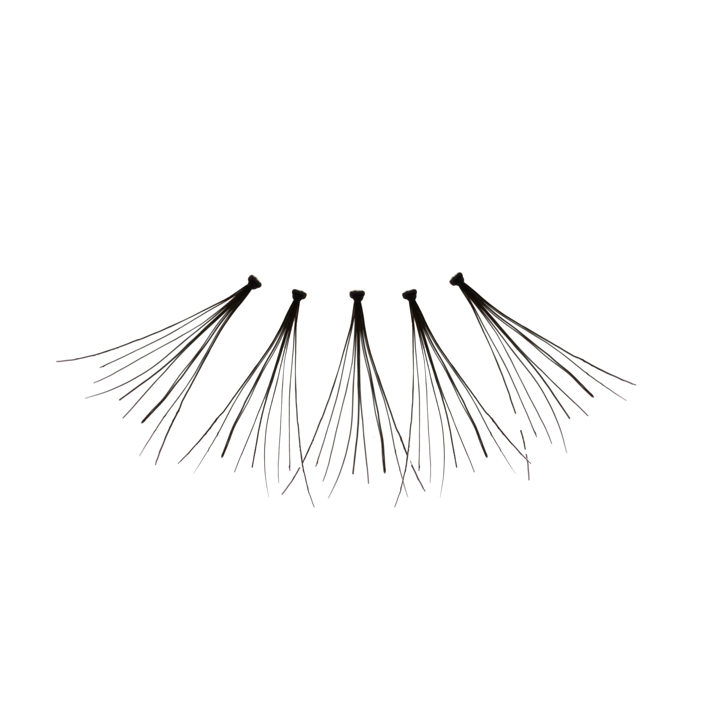 Flare_Long_-_Amorus_USA_False_Eyelashes_Fake_Individual_Lashes_Amor_Us_B.jpg