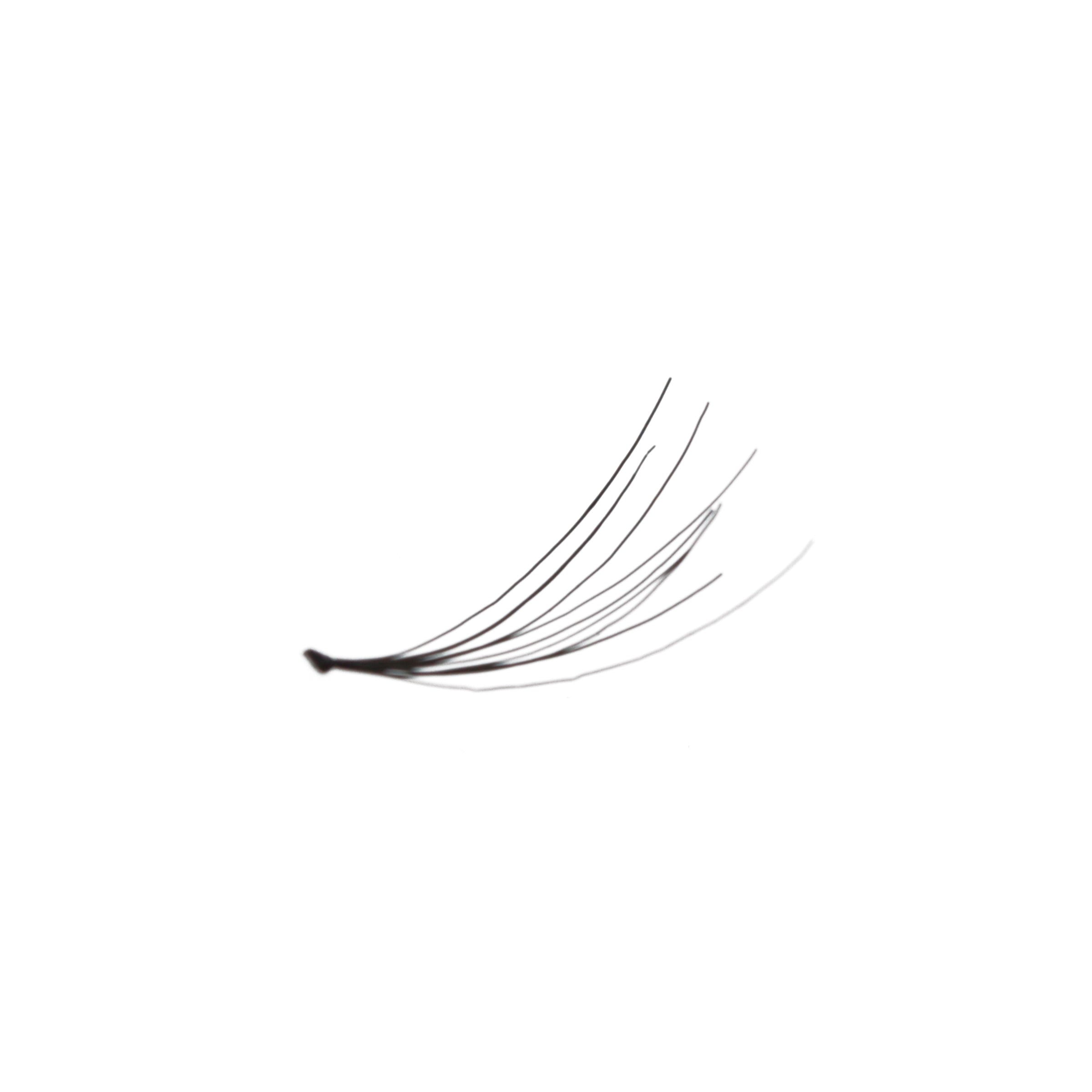 Flare_Long_-_Amorus_USA_False_Eyelashes_Fake_Individual_Lashes_Amor_Us_C.jpg