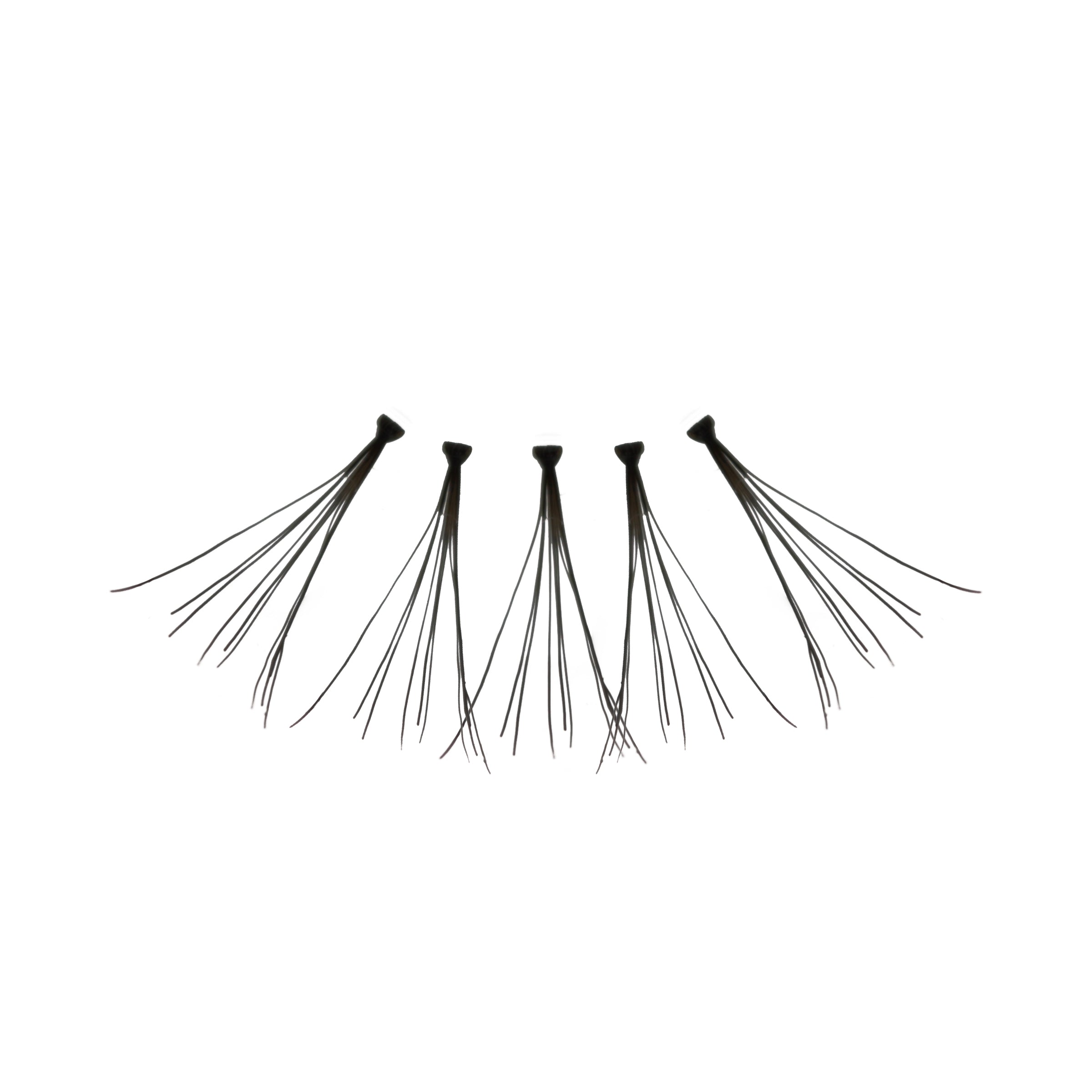 Flare_Medium_-_Amorus_USA_False_Eyelashes_Fake_Individual_Lashes_Amor_Us_B.jpg