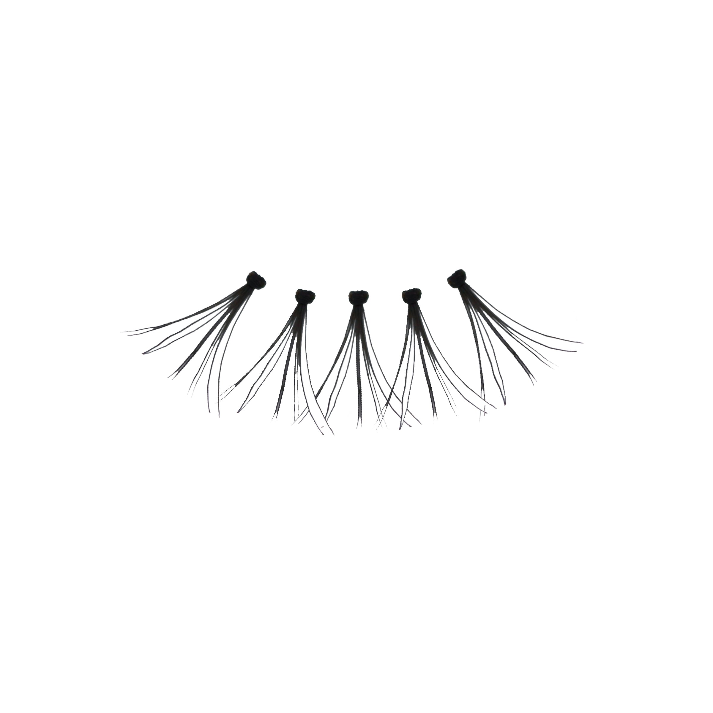 Flare_Short_-_Amorus_USA_False_Eyelashes_Fake_Individual_Lashes_Amor_Us_B.jpg