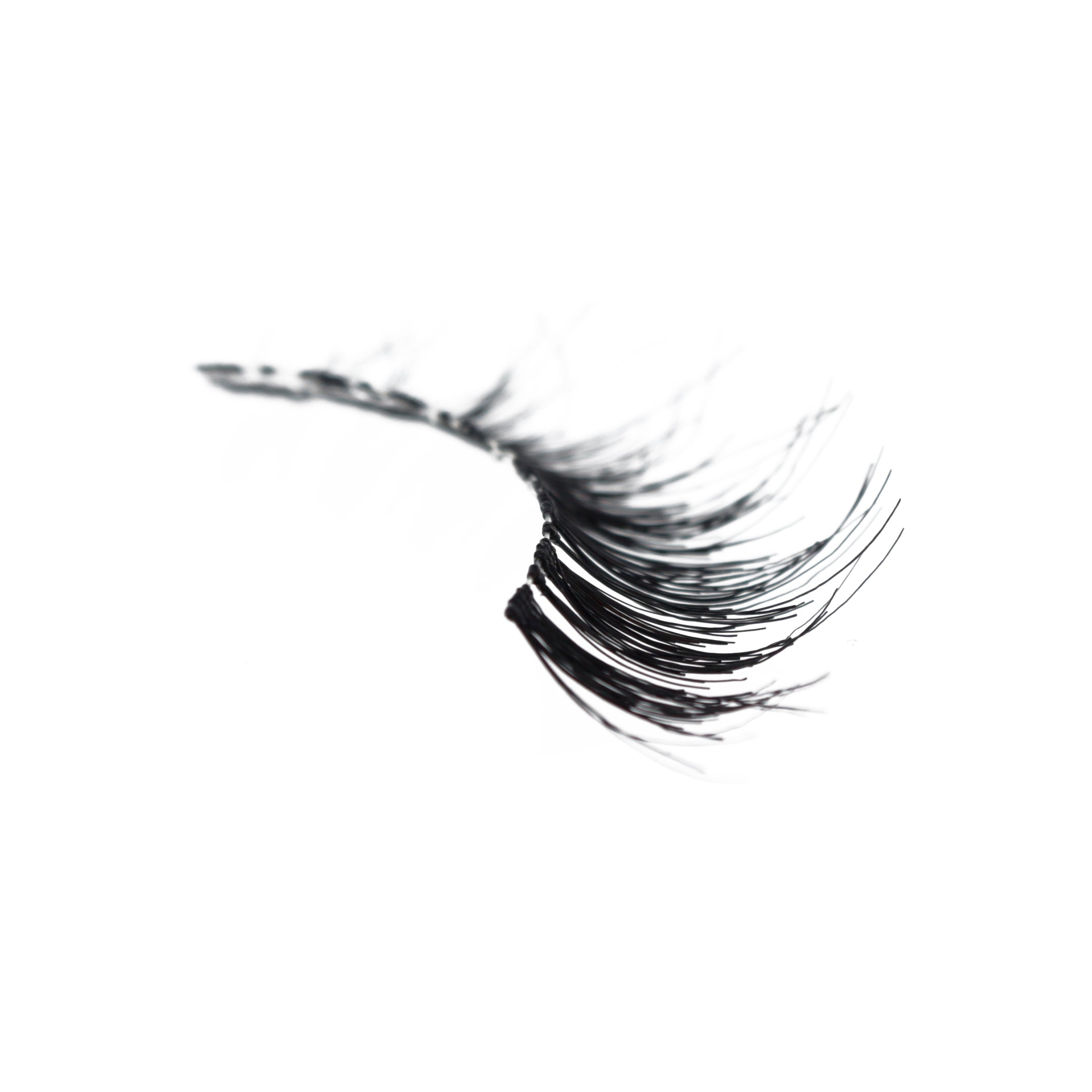 WSP_-_Amorus_USA_False_Eyelashes_Fake_Lashes_Amor_Us_c.jpg